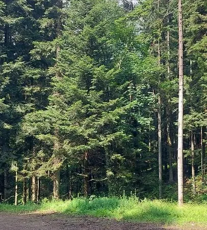 Apartman Beskidzka *