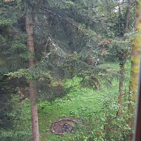 Apartment Beskidzka Sucha Beskidzka